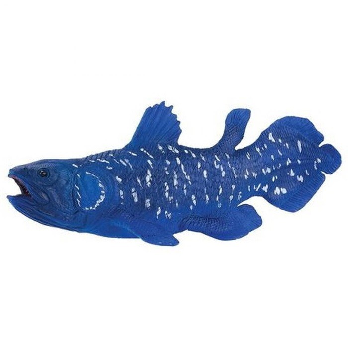 Mojo Fun Blue Coelacanth - Image 2