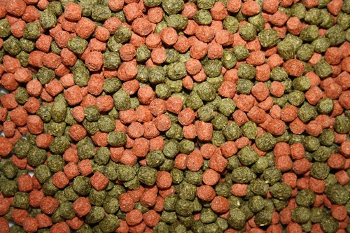 Koifuttermischung KoiMix Premium Teichfuttermix Spirulina Astax Paprika 10kg - Bild 12 von 15