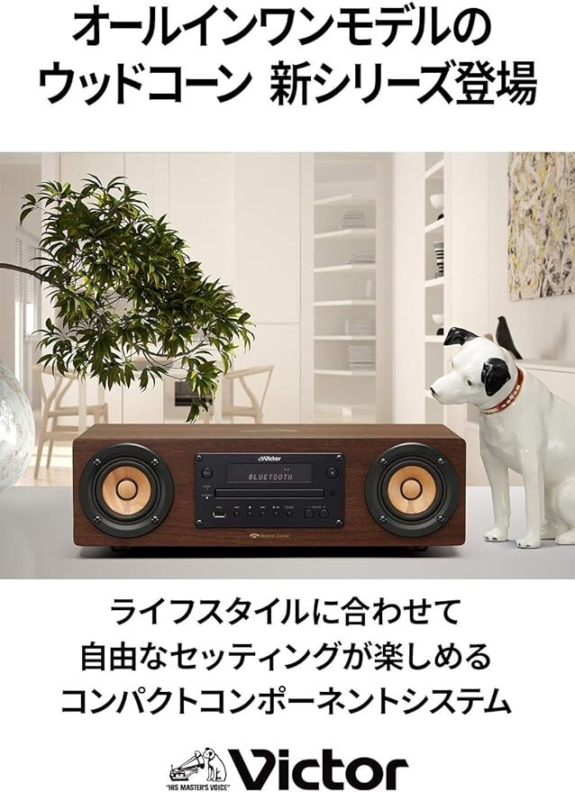 Victor EX-D6 WOOD CONE Series All In One System CD Player AC100V 