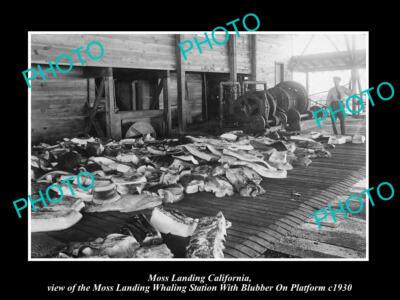 OLD LARGE HISTORIC PHOTO OF MOSS LANDING CALIFORNIA THE WHALING STATION c1930 1