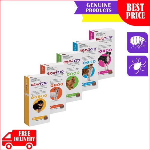 BRAVECTO Flea and Tick Prevention for All Sizes Dogs 1 Chew FREE AU