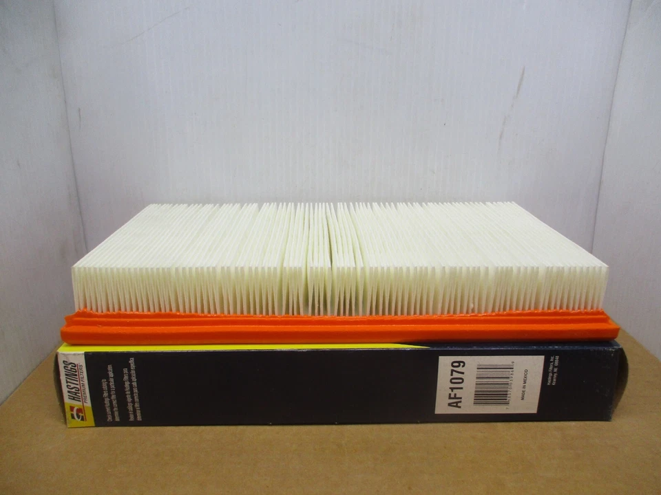 Filtro de aire HASTINGS AF1079 (Wix 42341) Foto 3 de 4