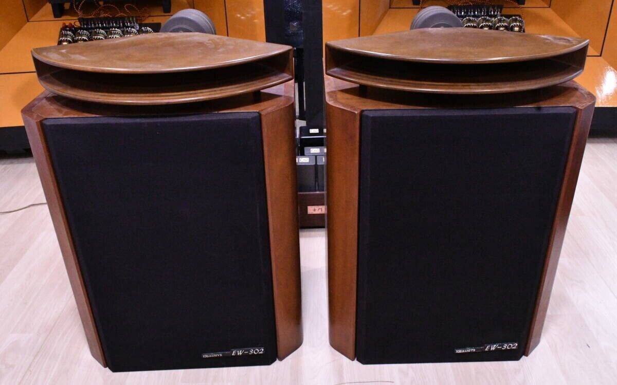 Pioneer EXCLUSIVE Model 2301 /EW-302 + ED-911 +EH-321L Pair Pioneer EXCLUSIVE Model 2301 /EW-302 + ED-911 +EH-321L Pair