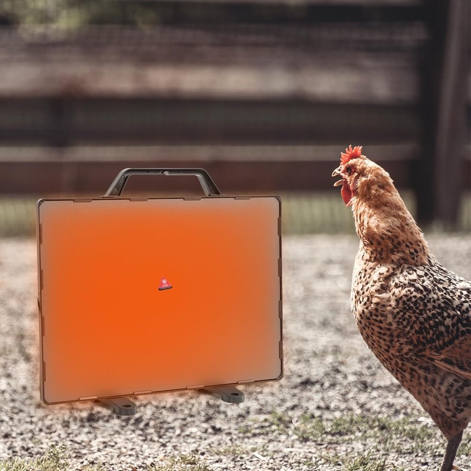 Chicken Coop Heater Chicken Coop Heater fo Winter Safe Chicken Coop