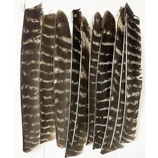 Pfeilfedern Naturfedern Volle Länge Bogenschießen Befiederung DIY Pfeile RW LW