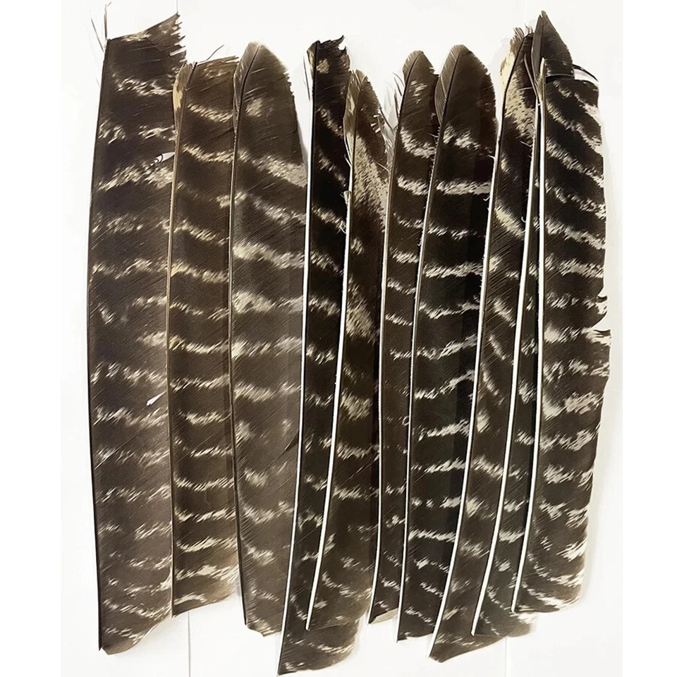 SHARROW Pfeilfedern Naturfedern Volle Länge Bogenschießen Befiederung DIY Pfeile RW LW