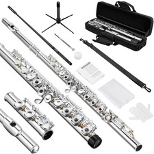 New Pogo Lab 16 Key Open Hole C Flute Silver Plated Student Kit W/ Stand Case