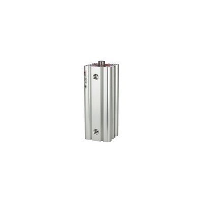 Riegler Kompaktzylinder LINER doppeltwirk. IG Kol.-Ã˜ 40 Hub 40 G 1/8