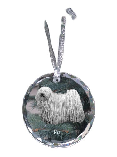 Puli - Crystal Ball With Photo, Little IN Crystal, Personalized ...