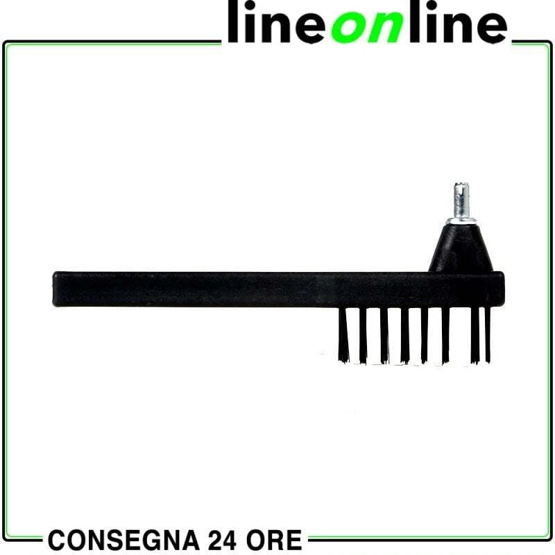 Foto 10 di 10
