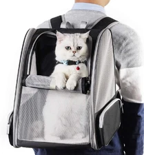 Innovative Black Bubble Backpack Pet Carrier for Cats and Dogs