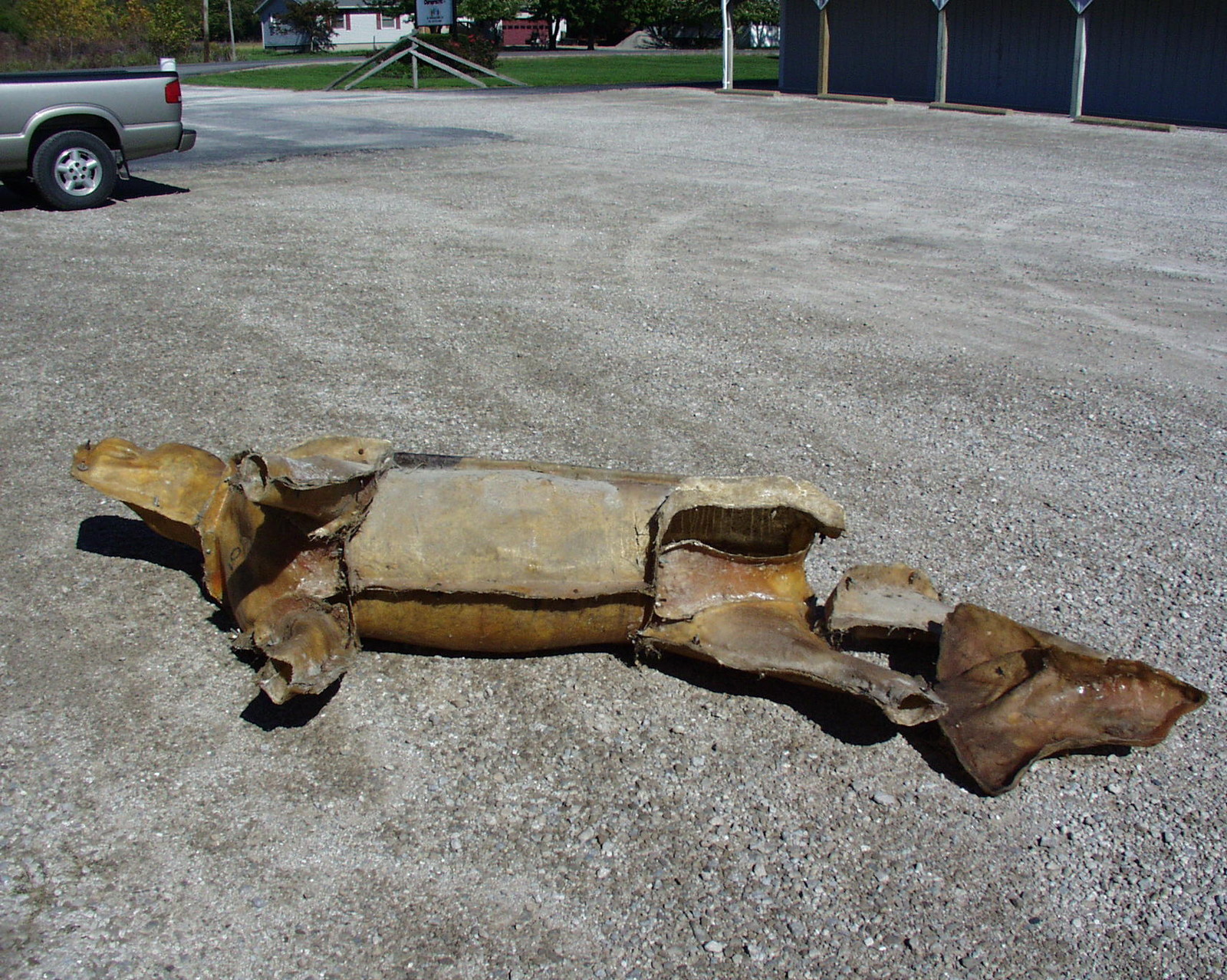 Set of 3 Fiberglass Molds Lifesize LION, HIPPO, WHITE RHINO Taxidermy mold 