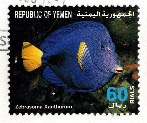YEMEN 1996 MARINE LIFE IN YEMEN FIRST DAY COVER, FIVE STAMPS, SCOTT 706-710 - Picture 4 of 8