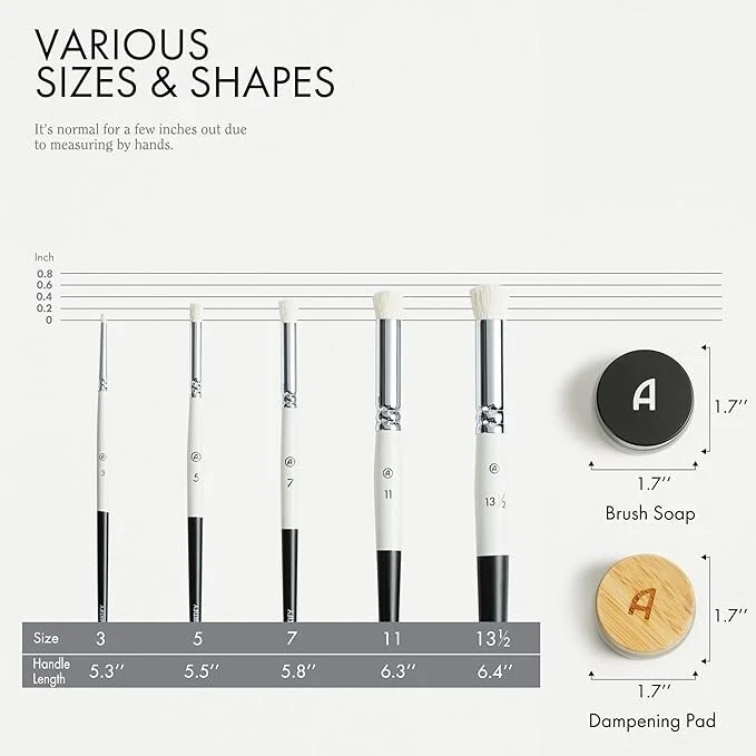 ARTIFY Juego de Cepillos Secos con Almohadilla Amortiguadora y Jabón Cepillo 5 Tamaños Cepillo Profesional Foto 3 de 4