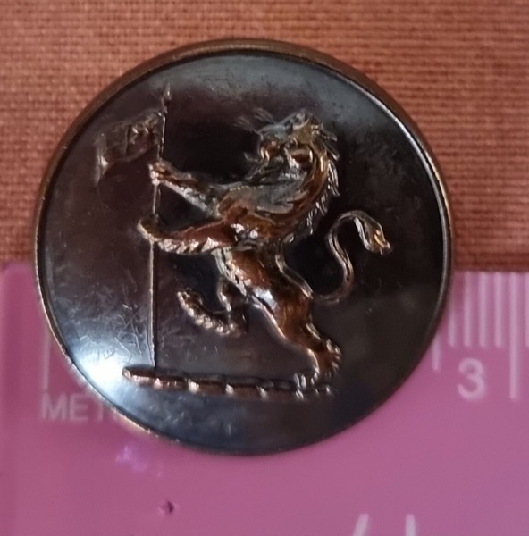 boton de coleccion, Plata