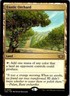 Exotic Orchard Commander: Tarkir: Dragonstorm Regular