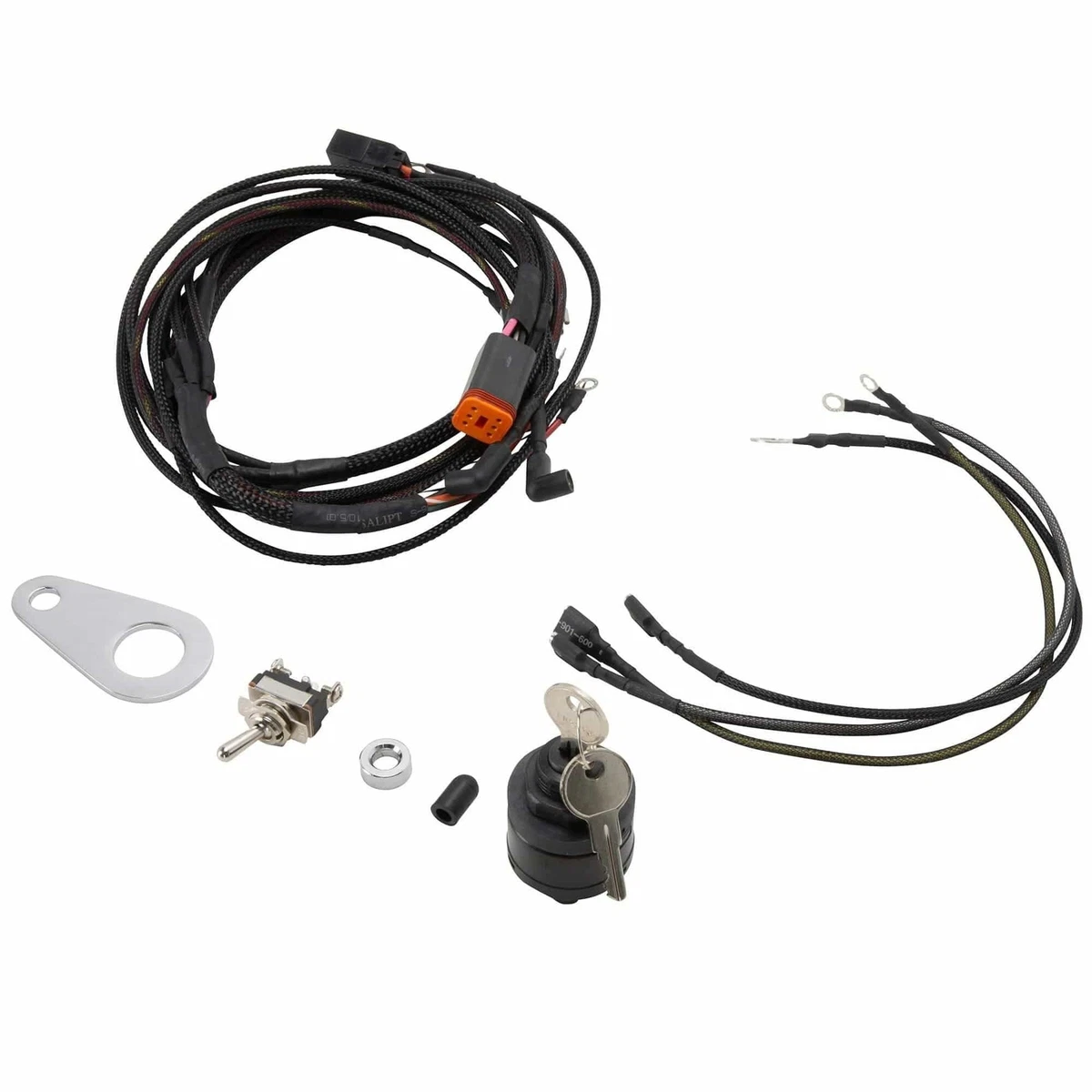 Sportster treatment deals