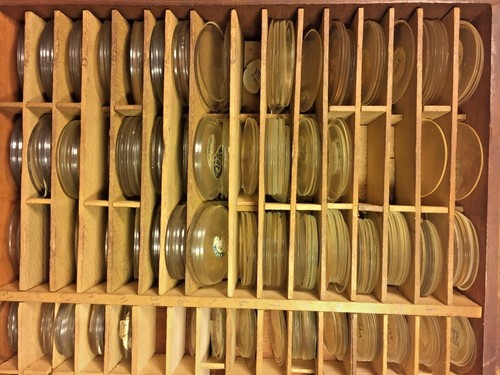 Antique Opticians Case Mahogany Wood & 100s of Lenses French Made Saul Solo - Picture 8 of 11