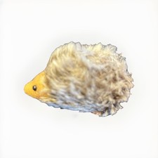 Steiff Animal Collectors Hedgehog Mini Plush - No Ear Tag