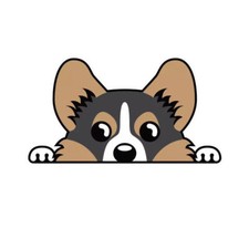 Tricolor Pembroke Welsh Corgi Sticker Decal