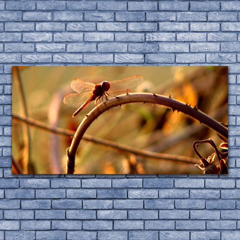 Impression sur toile premium libellule et nature tableau artistique 140x70 cm avec chassis
