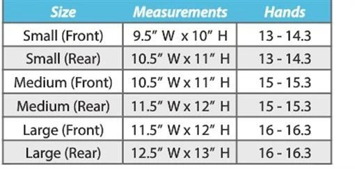 Botas deportivas de protección para caballos - Ventilación extrema - Frentes - 3 tallas - 7 colores Foto 2 de 4