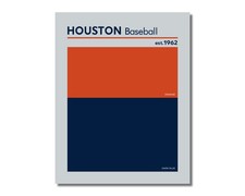 compare to HOUSTON ASTROS Baseball Color Swatch Photo Picture 8x10 11x14 16x20