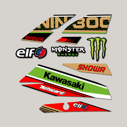 Race Sticker Pack Kawasaki Ninja 300 Motorbike Vinyl Sticker Decal Kit Full Set - Picture 2 of 4
