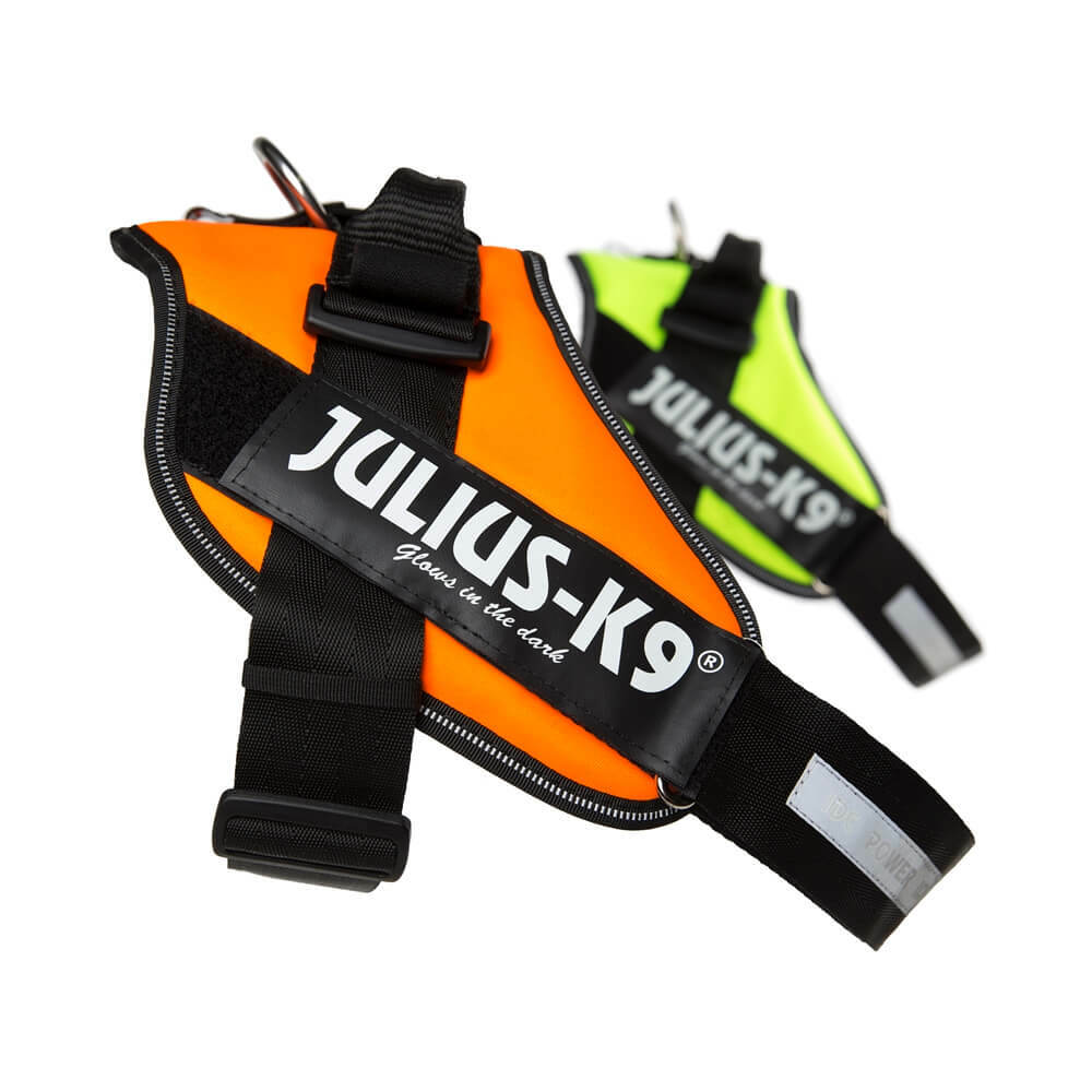 Julius-K9 IDC Dog Puppy High Visibility Power Harness Adjustable