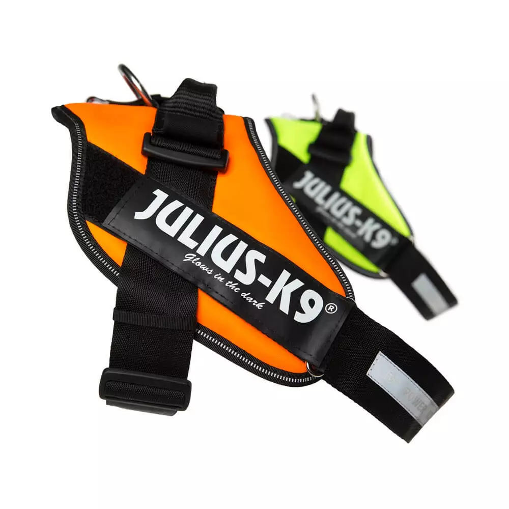K9 top power harness