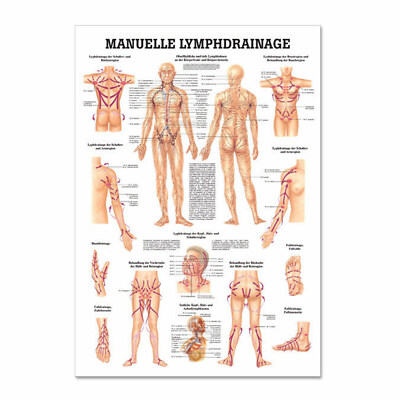 Lehrtafel ''Manuelle Lymphdrainage'' Rüdiger Anatomie | 70 x 100 cm | Metallleiste