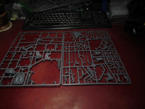 Warhammer 40k: Eldar / Dark Eldar: Bits on Sprue - Picture 4 of 5