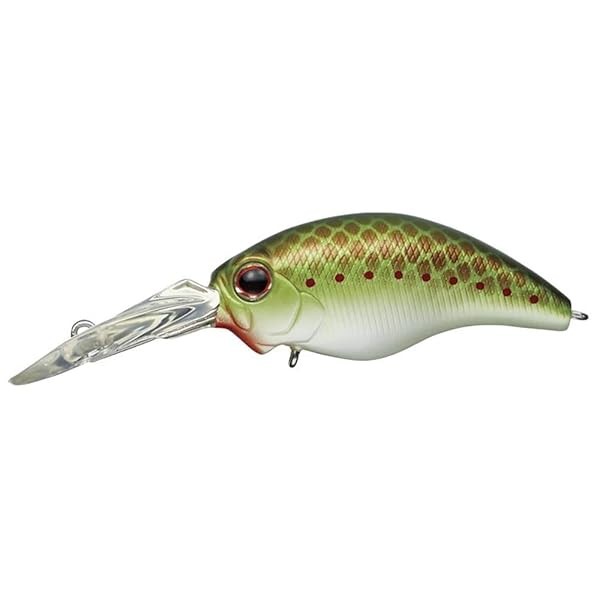 Shimano XG-814U Nessa Spin Breeze 140S Flash Boost F Hirame Gold sea bass lu FS