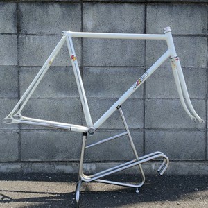 Samson Bike | eBay