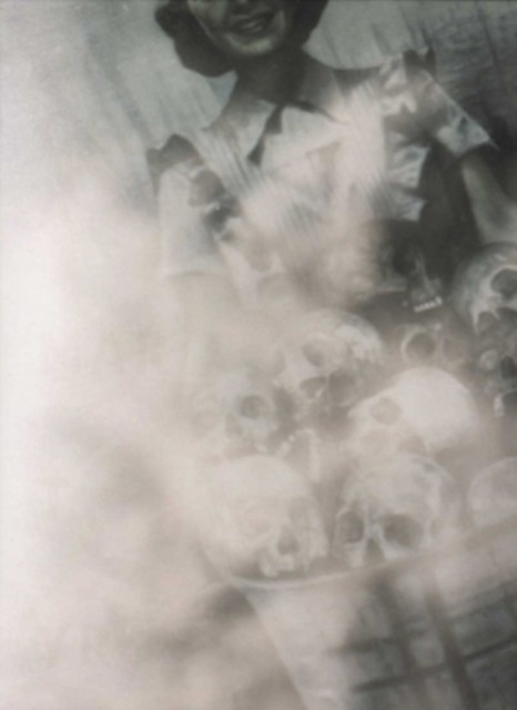 The November Harvest - Image 2