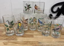 Vtg West Virginia Glass American Birds Double Old Fashioned & Drinking Glasses