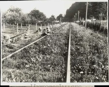 1934 Press Photo Austrian soldiers set up to fire on German troops near Ruden