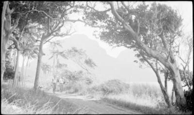Lord Howe Island Two unidentified men walking along a dirt track - Old Photo