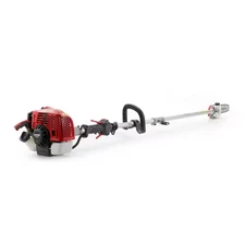 25Cc 10-In. 2-Cycle Gas-Powered Pole Saw
