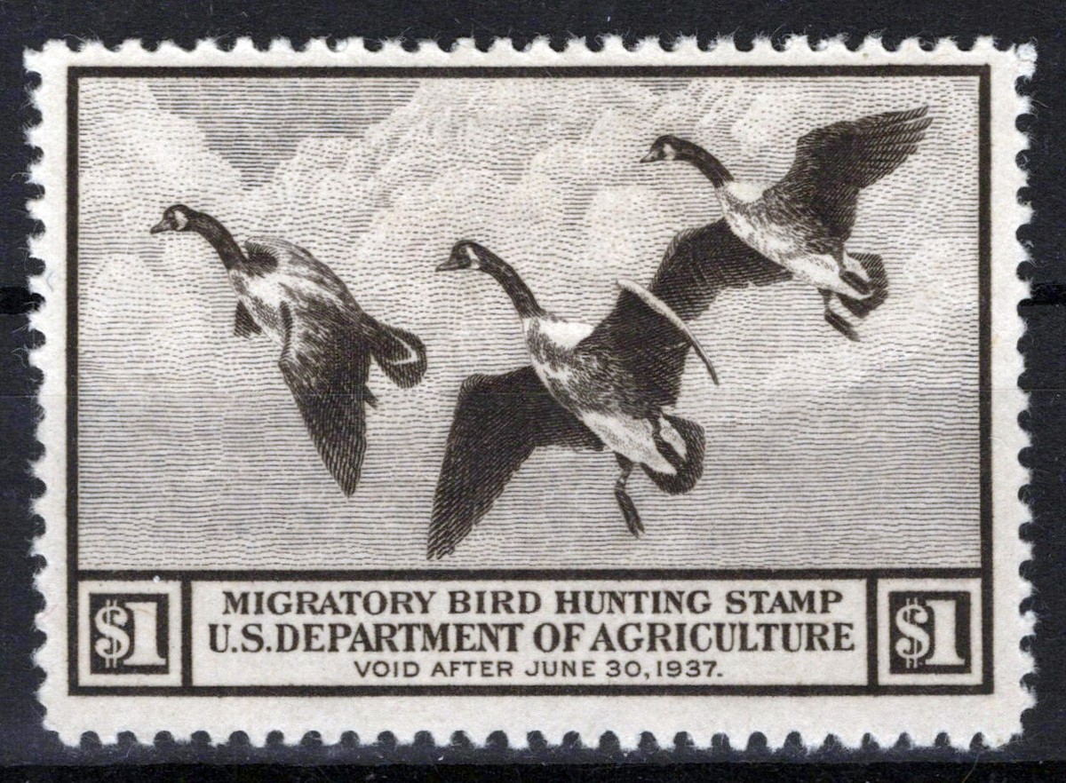 US RW3 MH F/VF $1 brown black Canada Geese Duck Revenue Zayix