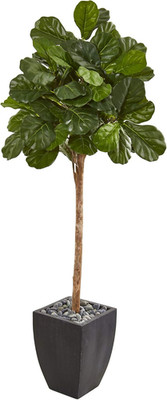 Lifelike 71'' Fiddle Leaf Fig Tree in Elegant Black Planter -