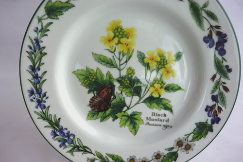 Royal Worcester – Worcester Herbs China Salad Plate & Side Plate – Good Cond - Picture 5 of 6
