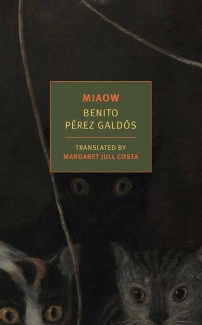 Miaow by Benito Perez Galdos (Paperback Book) - Image 4
