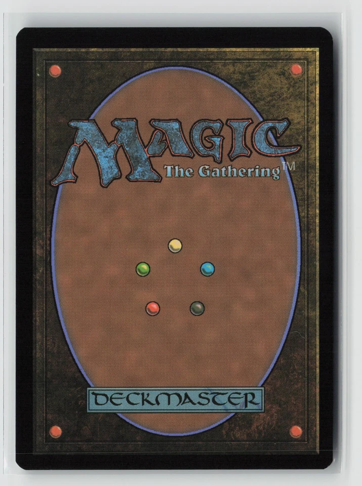 Shivan Reef 255 Foil Dominaria United DMU MTG Magic - Image 2 of 2