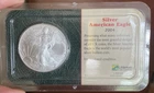2004 American Eagle Walking Liberty 1 oz Uncirculated Silver Coin Toning