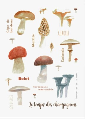 MAISON LORRAIN, ''Le Temps de Champignons'' French Cotton Kitchen / Tea Towel, New
