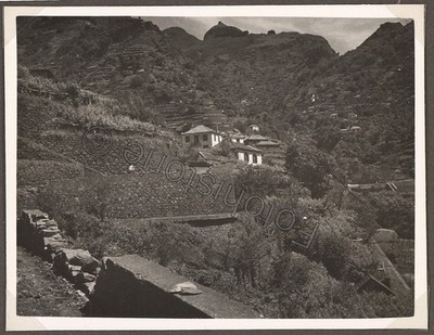 Foto Portugal Madeira São Vicente Terrassenberg Dorf Häuser 1934