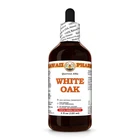 White Oak (Quercus Alba) Dried Bark Liquid Herbal Extract