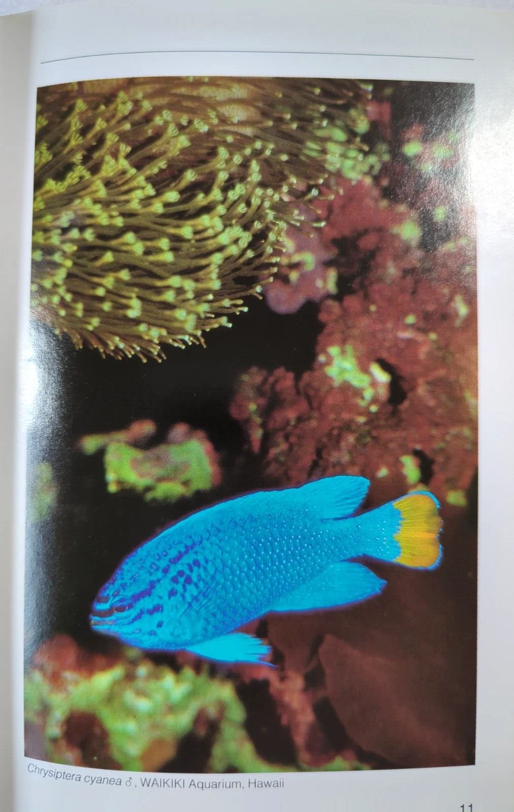 Picture 2 of 21