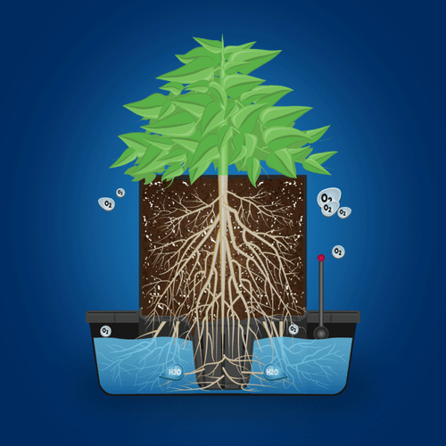 Air Grow Pot 19Gal 75L 50x40cm Grow Bed Plant Tree Root Trainer No Moulds Hydro - Picture 2 of 5